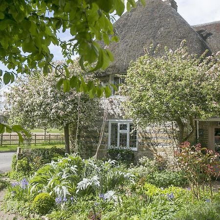 Tudor Cottage B&B Frampton 多切斯特 外观 照片