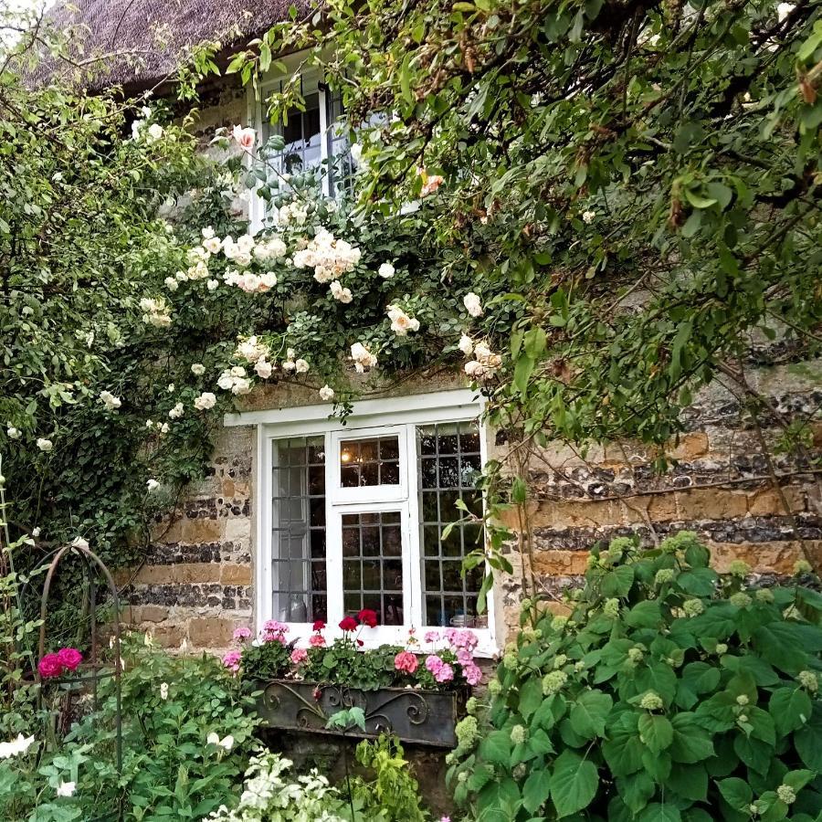 Tudor Cottage B&B Frampton 多切斯特 外观 照片