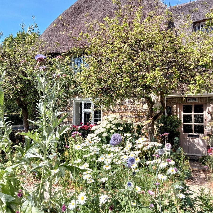 Tudor Cottage B&B Frampton 多切斯特 外观 照片