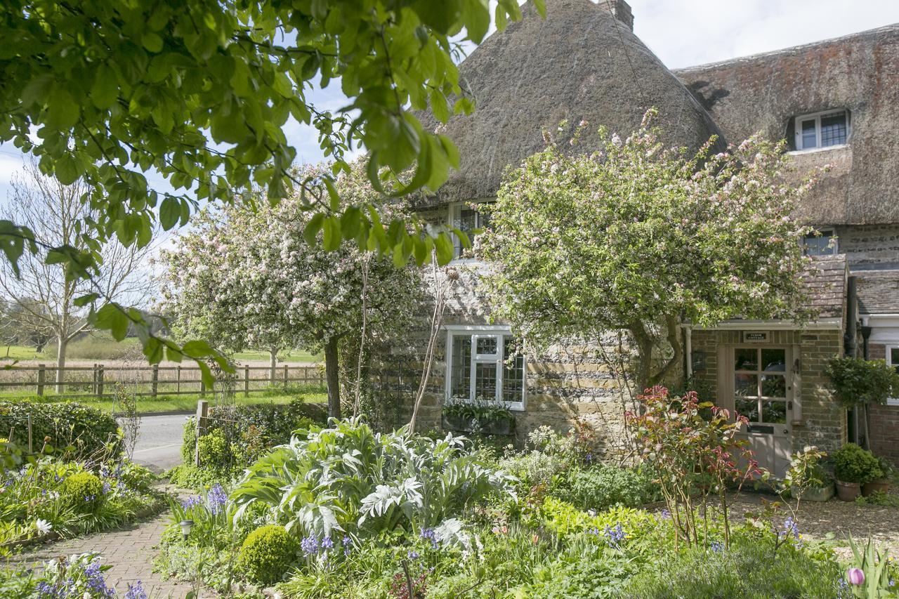 Tudor Cottage B&B Frampton 多切斯特 外观 照片
